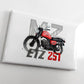 MZ ETZ 251 — magnes